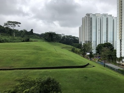 Blk 392 Bukit Batok West Avenue 5 (Bukit Batok), HDB 5 Rooms #163649162